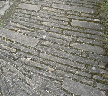 onkruid tussen tegels verwijderen