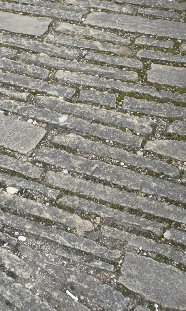 onkruid tussen tegels verwijderen