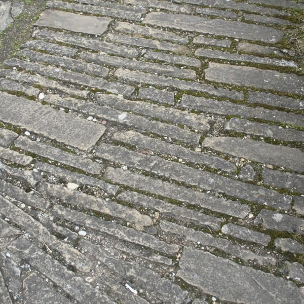 onkruid tussen tegels verwijderen