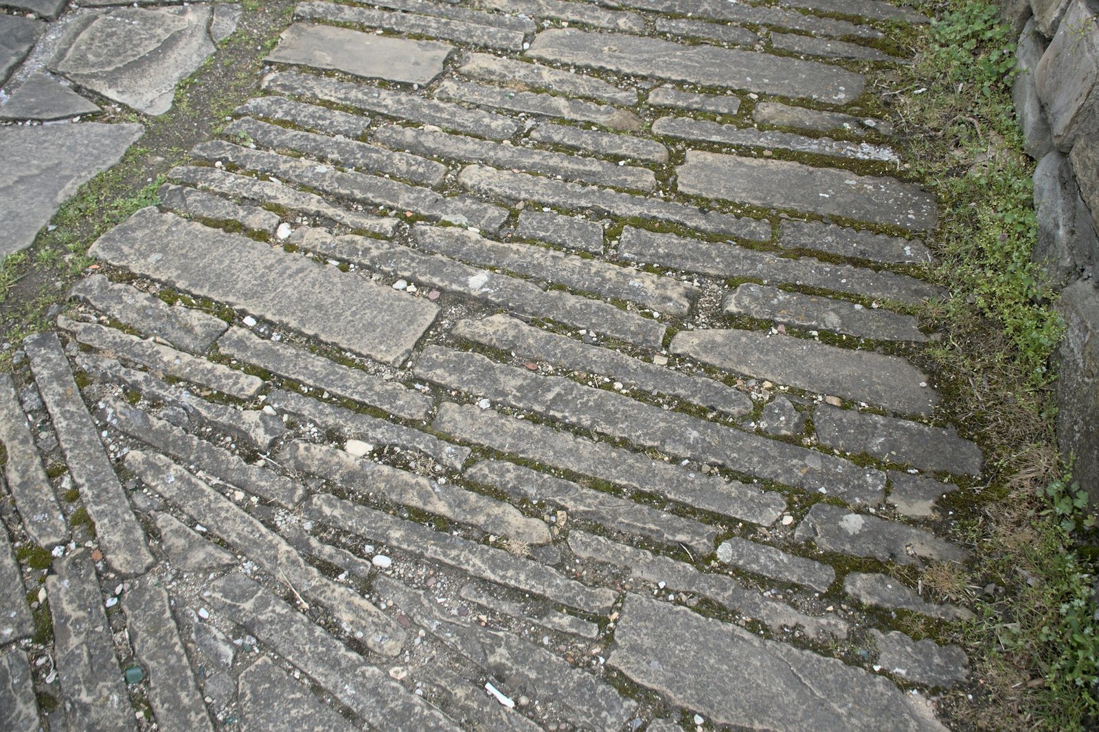 onkruid tussen tegels verwijderen